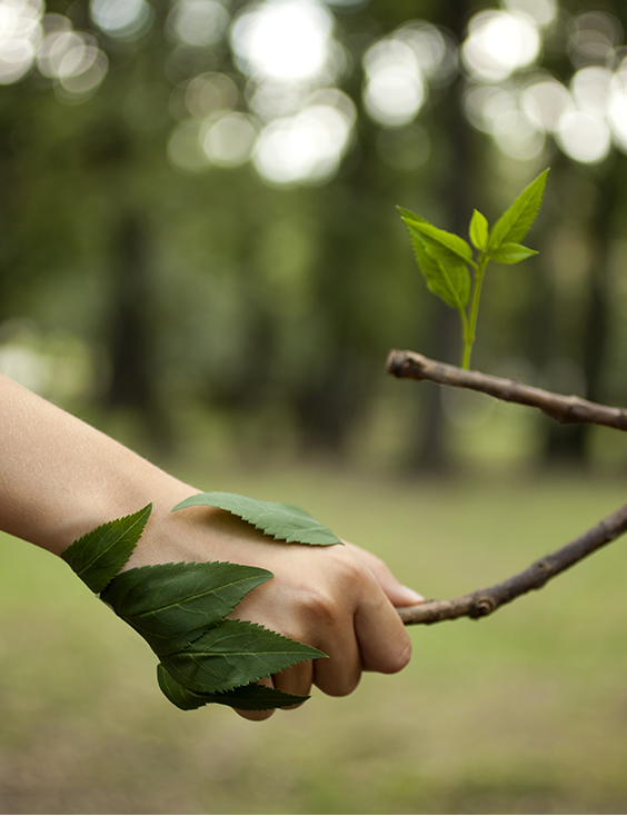 BAYMAK ÇEVRE VE ENERJİ POLİTİKALARIMIZ