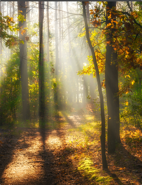 ISI POMPASI NASIL ÇALIŞIR?
